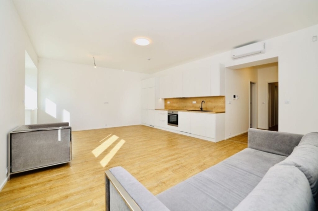 Obývací pokoj s kuchyní