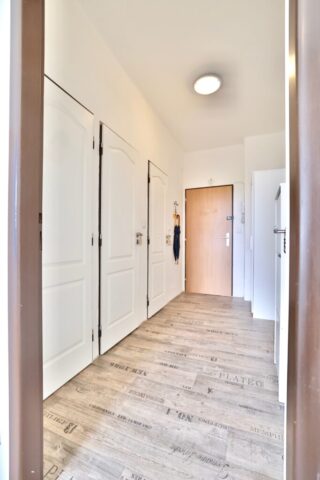 Prodej bytu 1+1 - Praha 3 - Žižkov - chodba