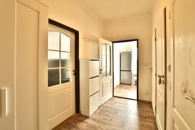 Prodej bytu 1+1 - Praha 3 - Žižkov - chodba