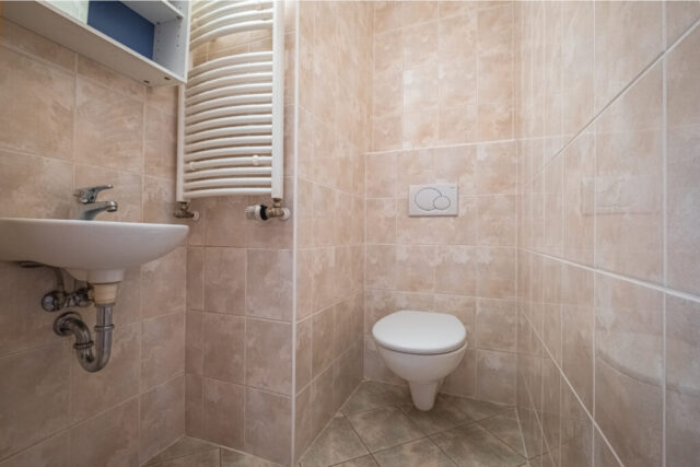 Prodej bytu 2+kk Praha 6 - Břevnov - toaleta